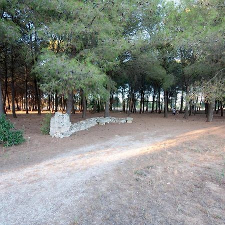 Le Pentume Apartman Arnesano Kültér fotó